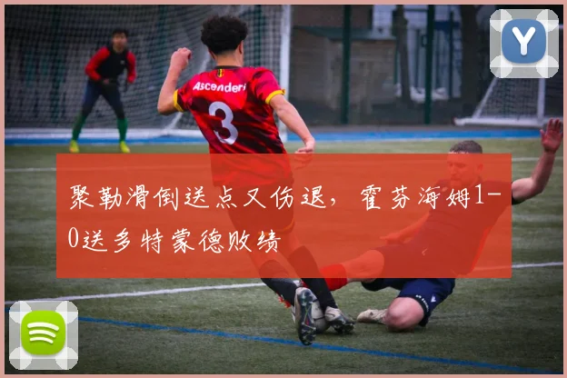 聚勒滑倒送点又伤退，霍芬海姆1-0送多特蒙德败绩