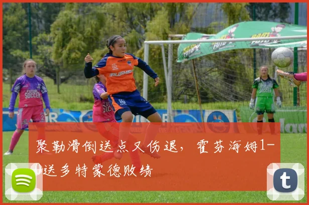 聚勒滑倒送点又伤退，霍芬海姆1-0送多特蒙德败绩